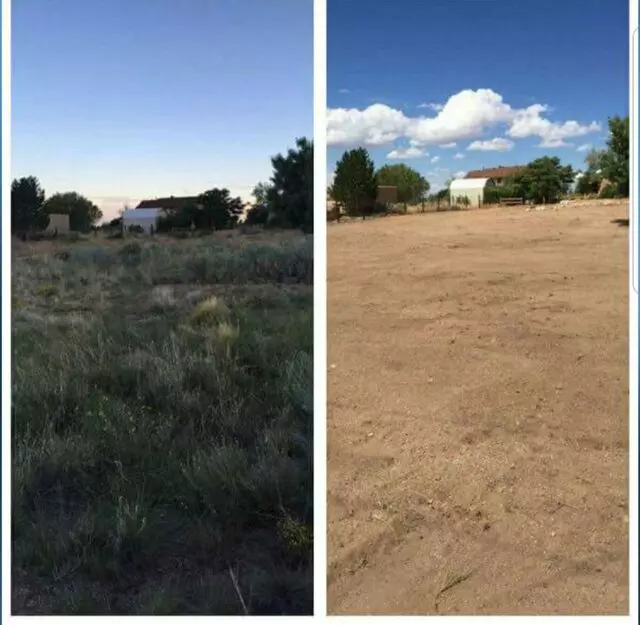 Affordable Landscape Maintenance