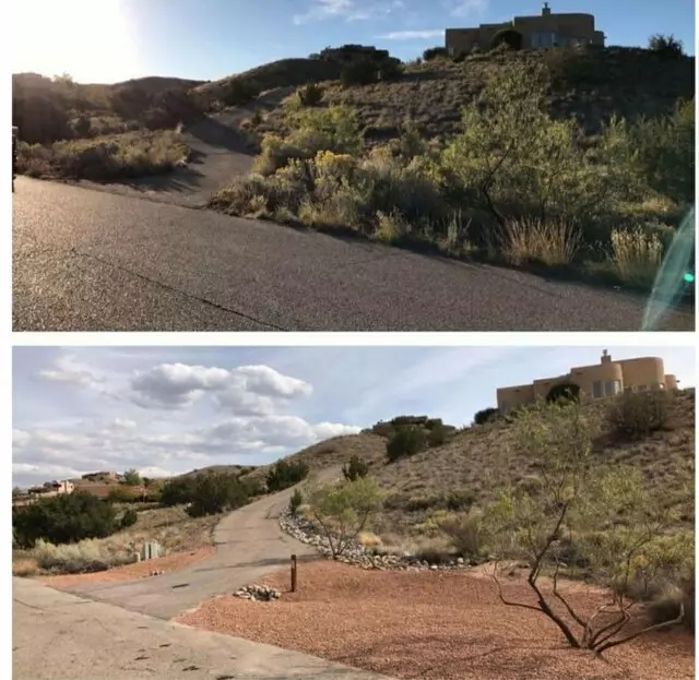 Affordable Landscape Maintenance
