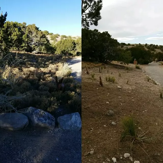 Affordable Landscape Maintenance
