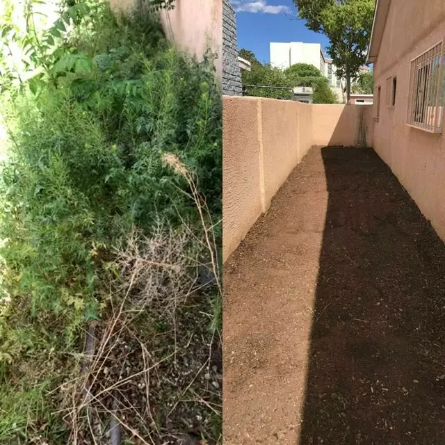 Affordable Landscape Maintenance