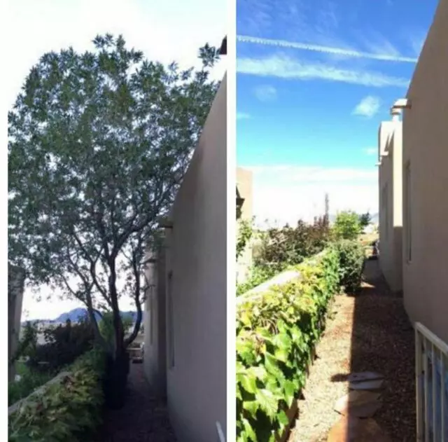 Affordable Landscape Maintenance