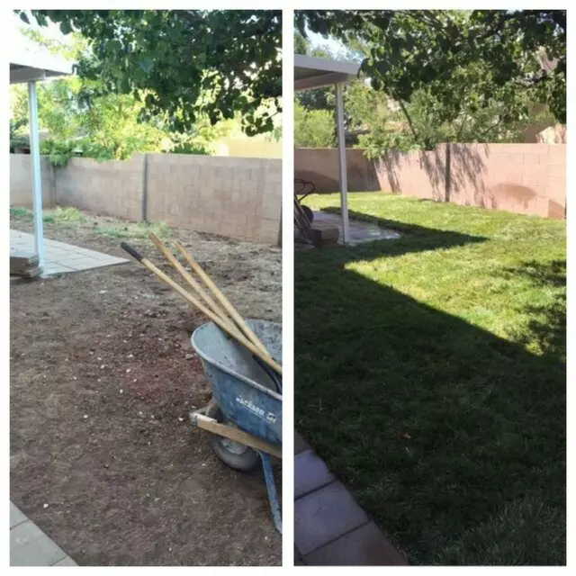Affordable Landscape Maintenance