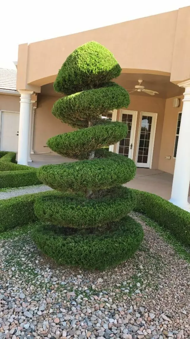Affordable Landscape Maintenance