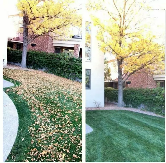 Affordable Landscape Maintenance