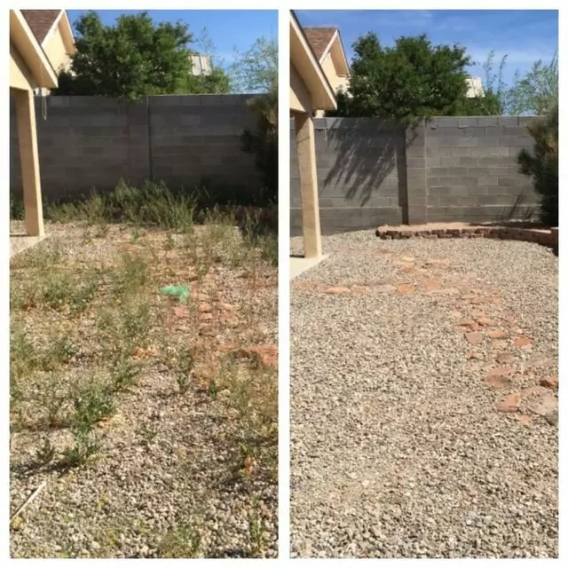 Affordable Landscape Maintenance