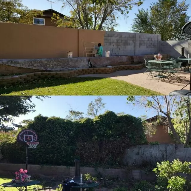 Affordable Landscape Maintenance