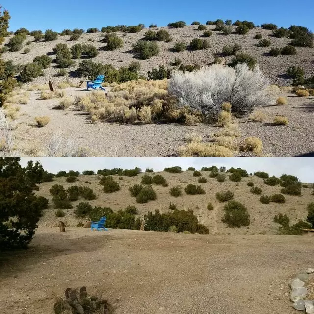 Affordable Landscape Maintenance