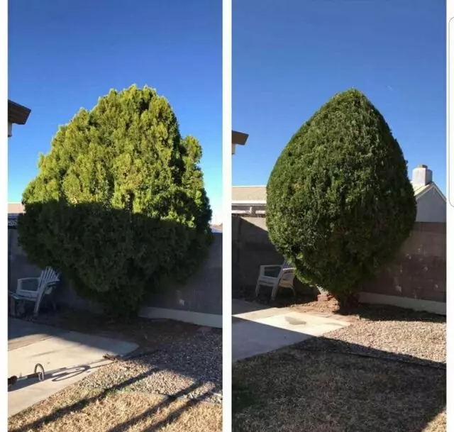 Affordable Landscape Maintenance