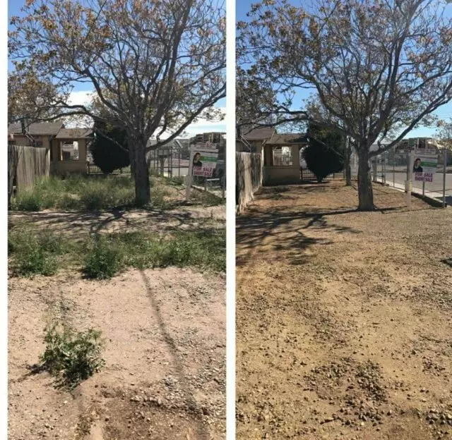 Affordable Landscape Maintenance