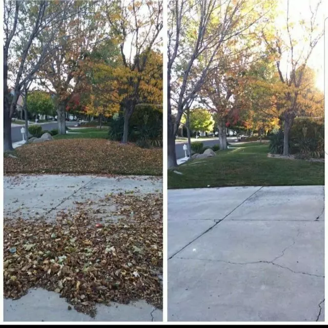 Affordable Landscape Maintenance