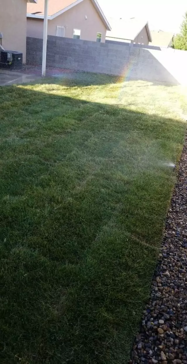 Affordable Landscape Maintenance