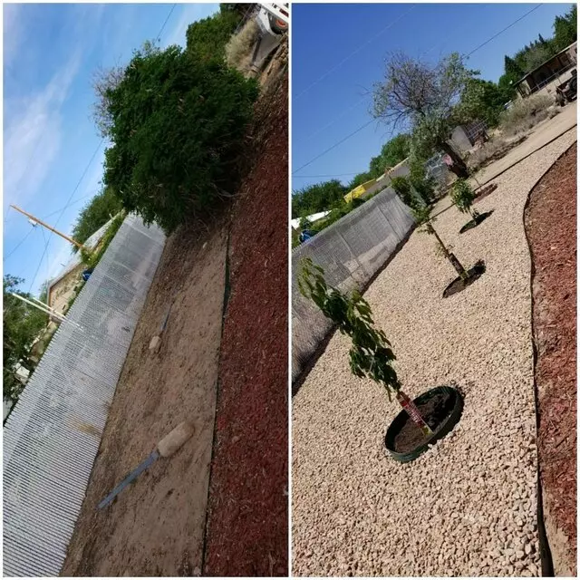 Affordable Landscape Maintenance