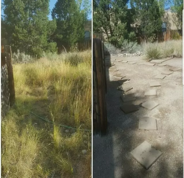 Affordable Landscape Maintenance