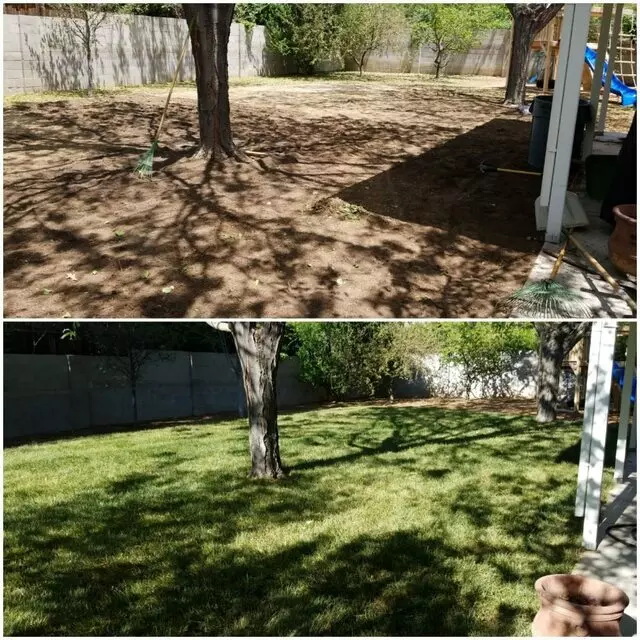Affordable Landscape Maintenance