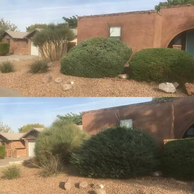 Affordable Landscape Maintenance