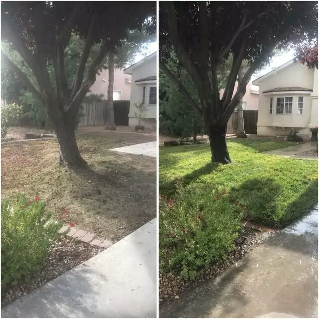 Affordable Landscape Maintenance
