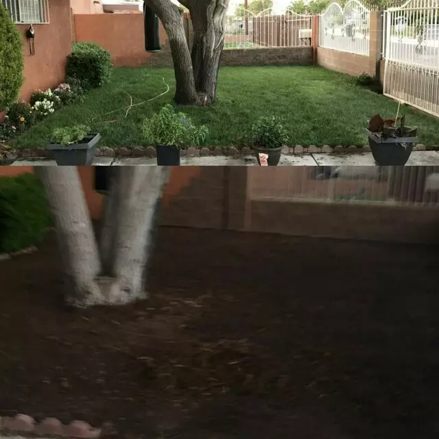 Affordable Landscape Maintenance