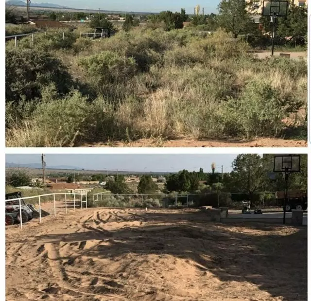 Affordable Landscape Maintenance