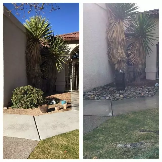 Affordable Landscape Maintenance