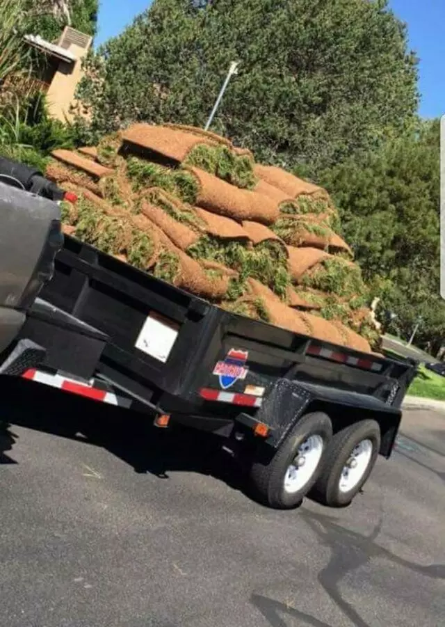 Affordable Landscape Maintenance