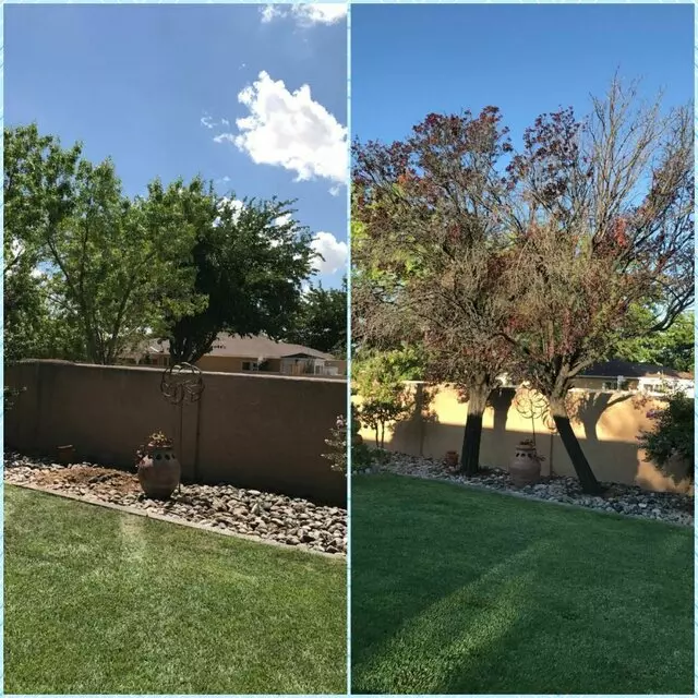 Affordable Landscape Maintenance