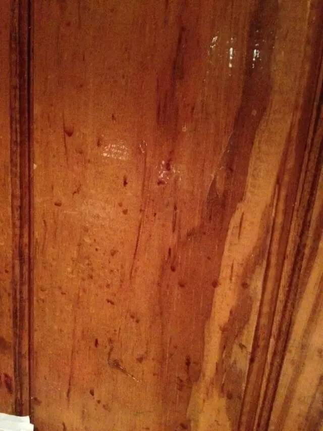 Outback Steakhouse