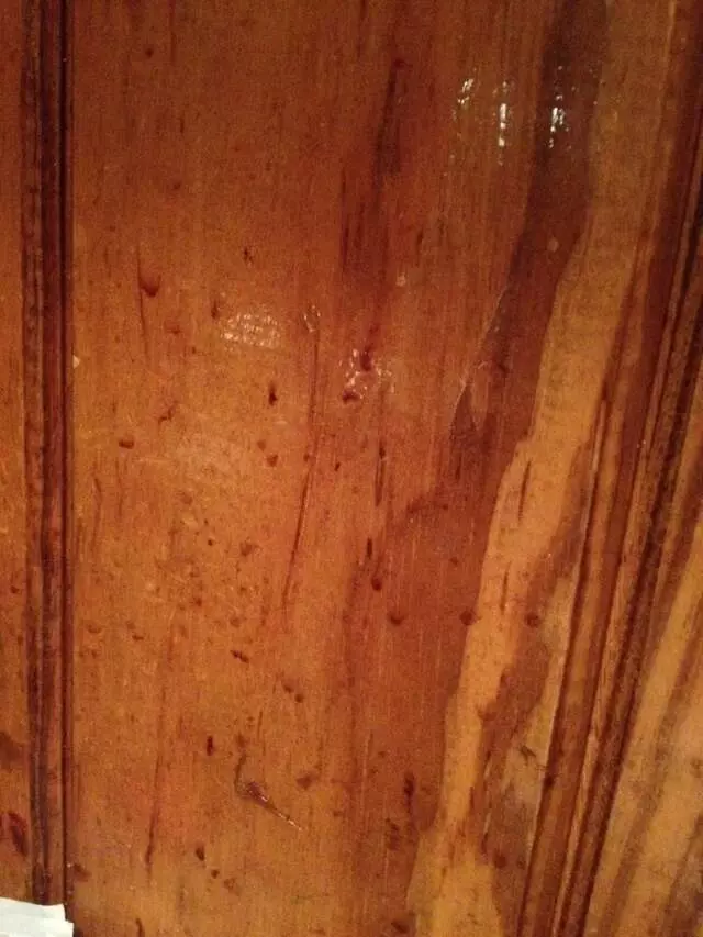 Outback Steakhouse