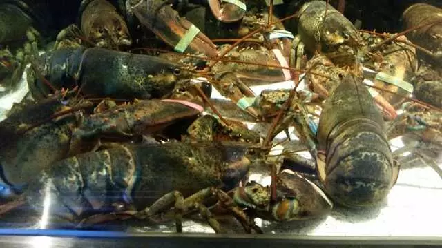 Red Lobster