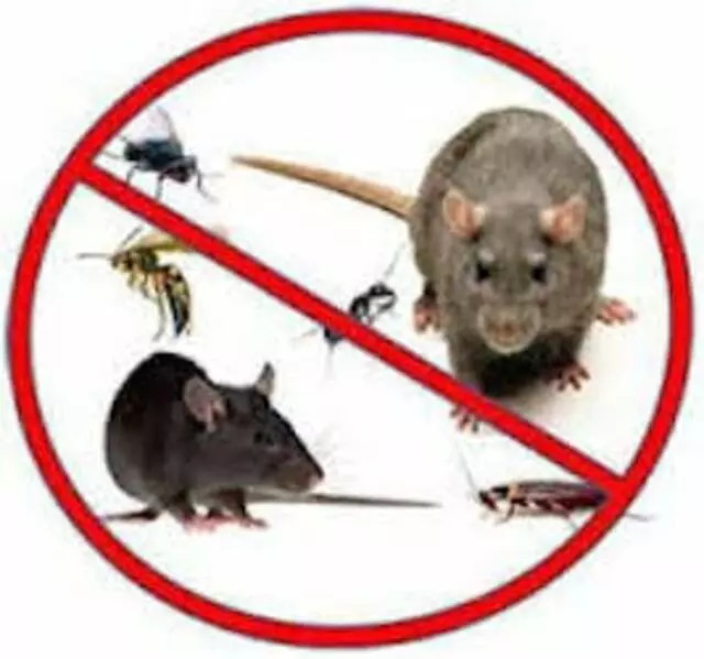 Bug Off!! Pest Control