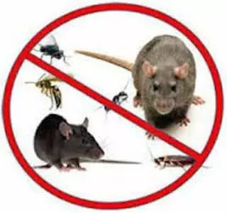 Bug Off!! Pest Control