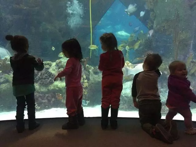 ABQKidZone