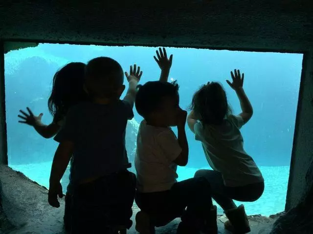 ABQKidZone