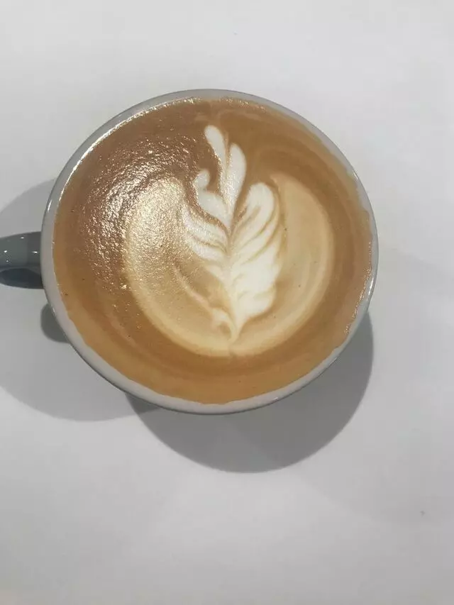 Little Bear Coffee