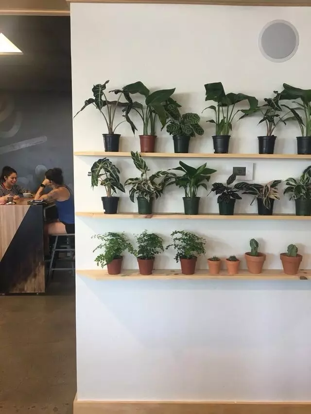 Little Bear Coffee