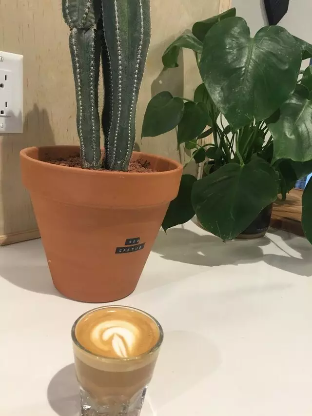 Little Bear Coffee