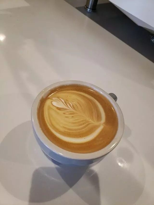Little Bear Coffee