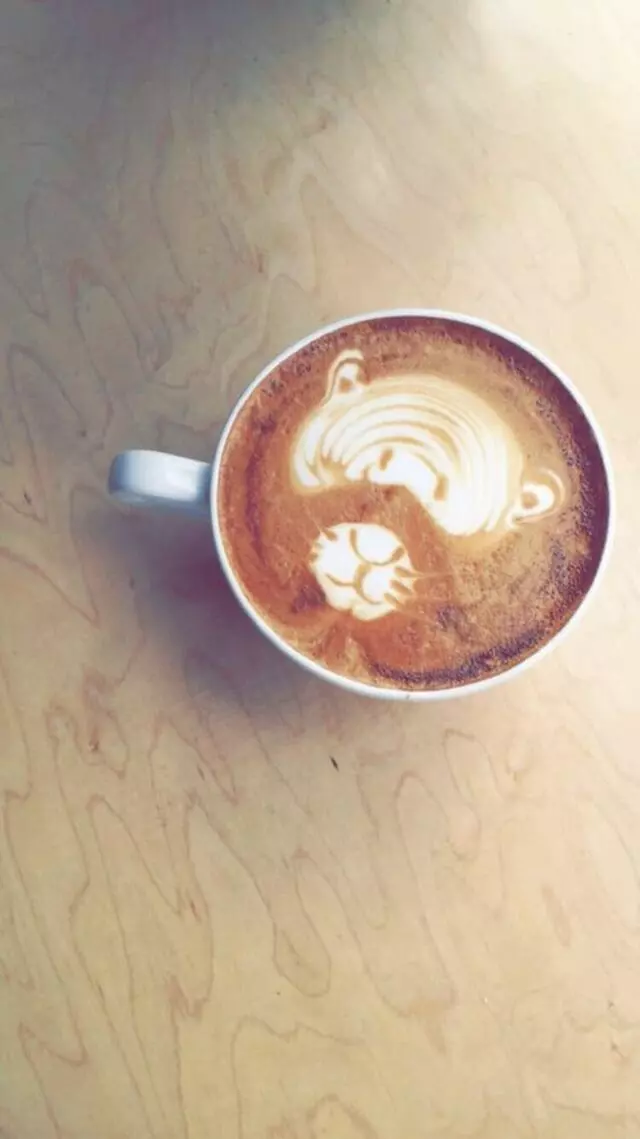 Little Bear Coffee