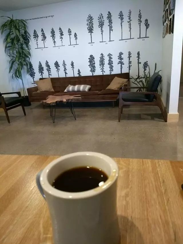 Little Bear Coffee