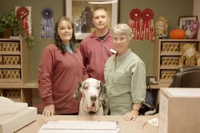 Academy Boarding Kennels & Grooming Salon
