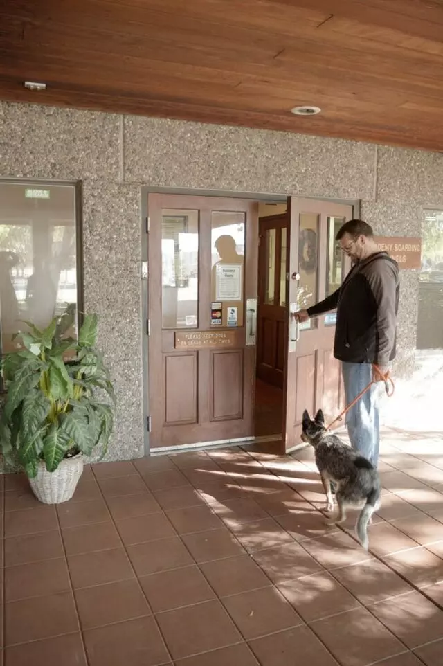 Academy Boarding Kennels & Grooming Salon