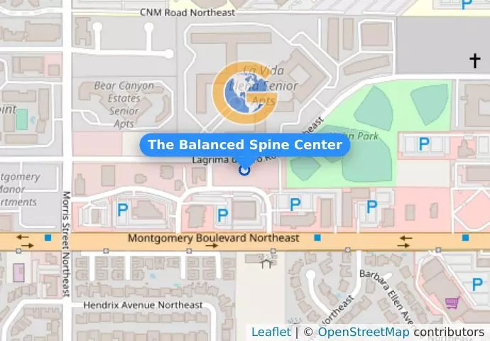 The Balanced Spine Center