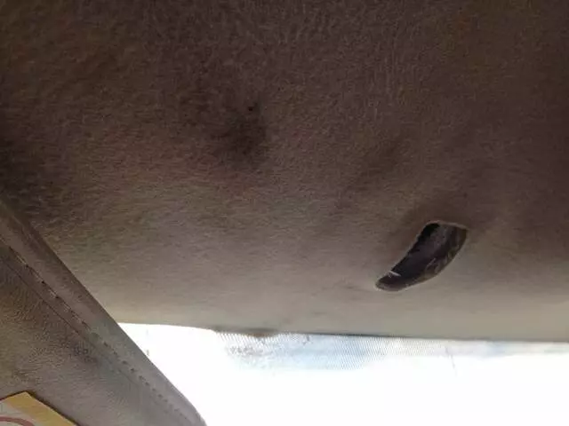 Avis Budget