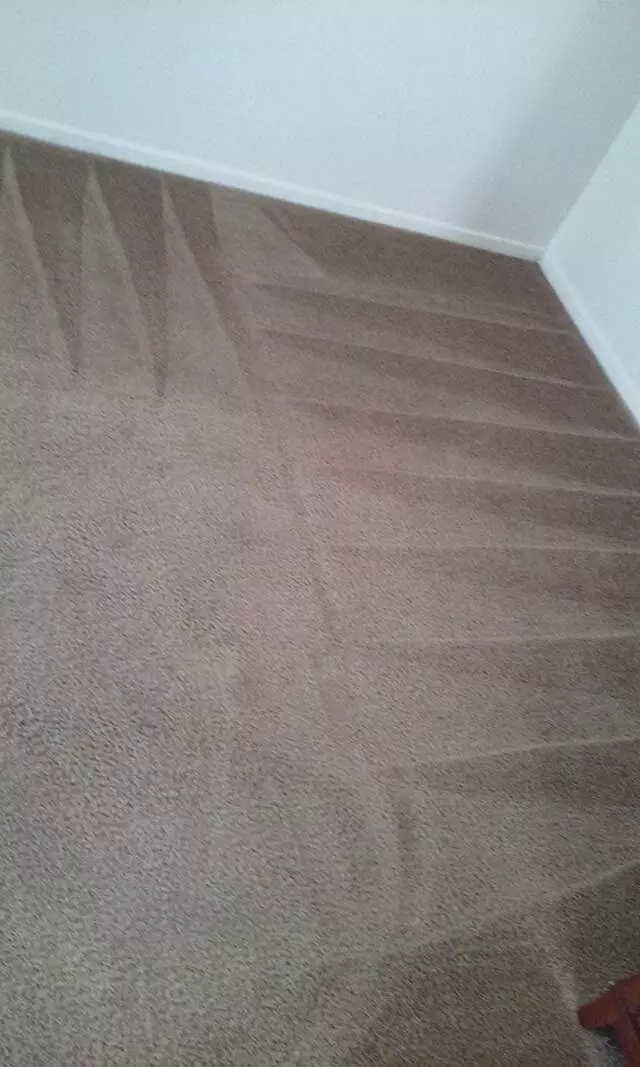 Adrian&apos;s Carpet Cleaning