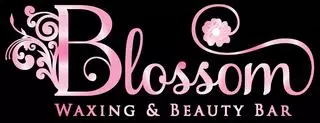 Blossom Waxing & Beauty Bar