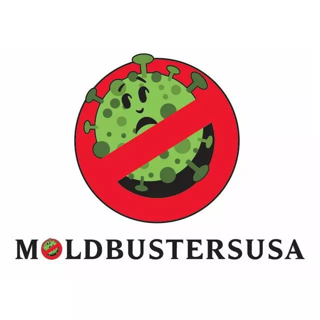 Mold Busters New Mexico