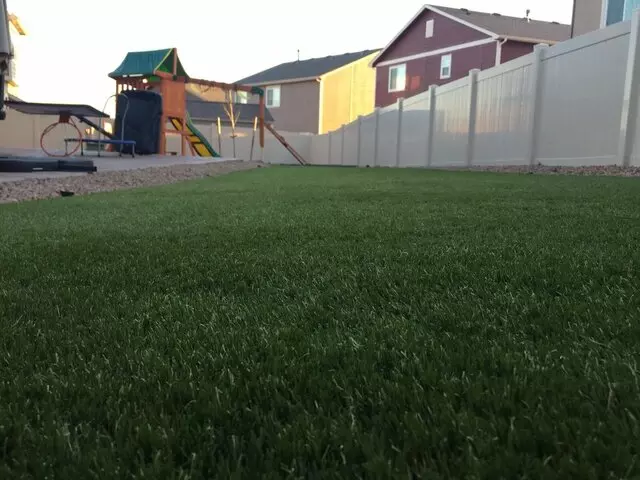 806 AstroTurf