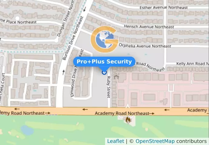 Pro+Plus Security