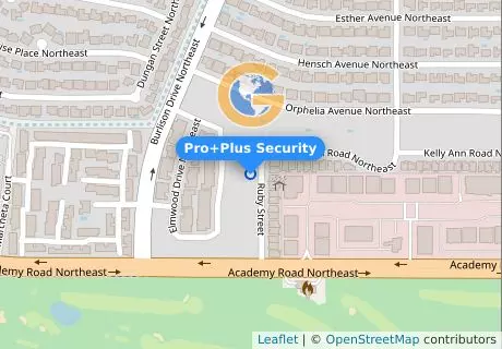 Pro+Plus Security