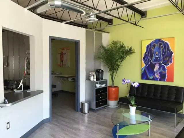 Advanced Veterinary Dentistry