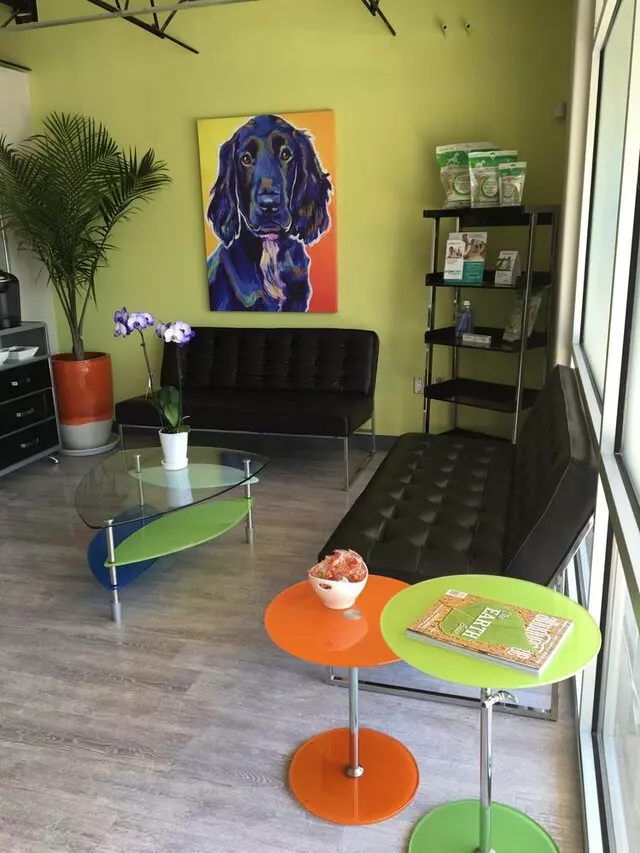 Advanced Veterinary Dentistry